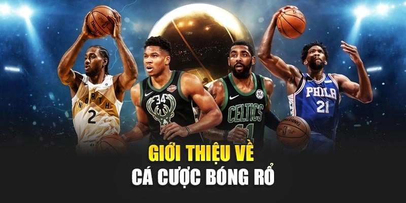 Giới thiệu về cá cược bóng rổ