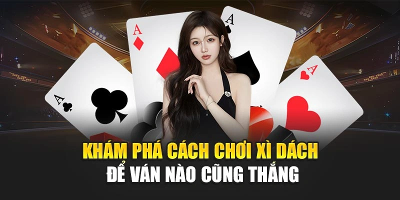 Khám phá cách chơi xì dách để ván nào cũng thắng