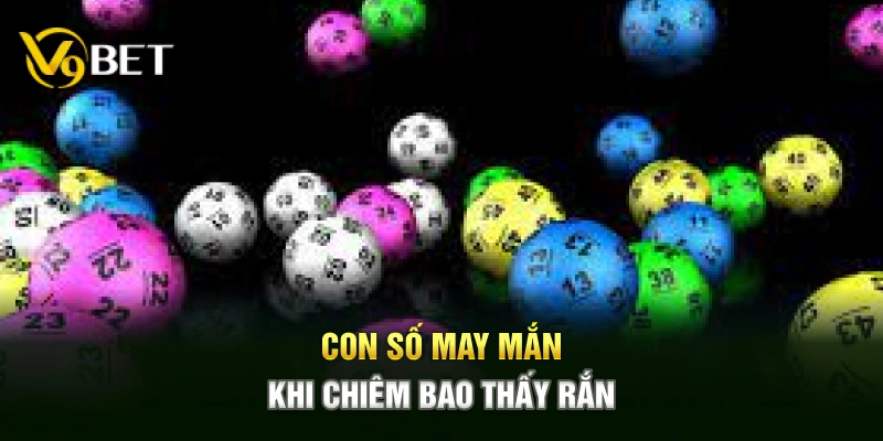 Con số may mắn khi chiêm bao thấy rắn